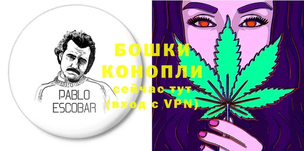 дурь Белокуриха