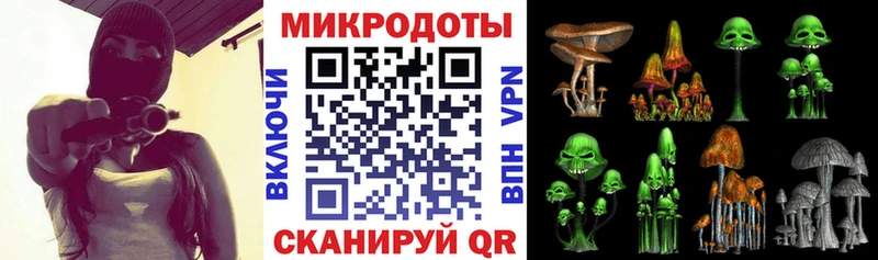 Псилоцибиновые грибы мицелий  Купино 